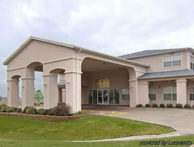 Super 8 By Wyndham Greenville Exterior photo